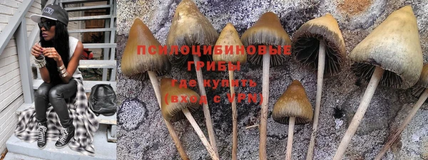 2c-b Балабаново