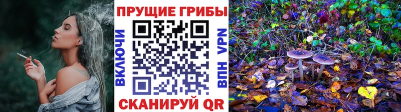 наркошоп Верея Псилоцибиновые грибы мухоморы